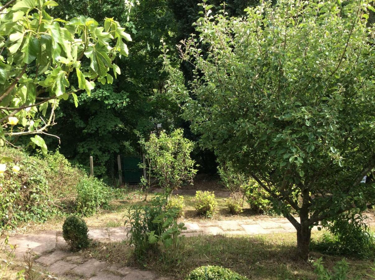 12 Impasse Damilaville Étretat Esterno foto