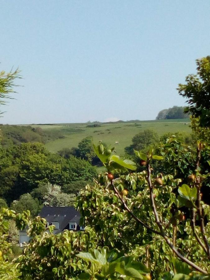 12 Impasse Damilaville Étretat Esterno foto